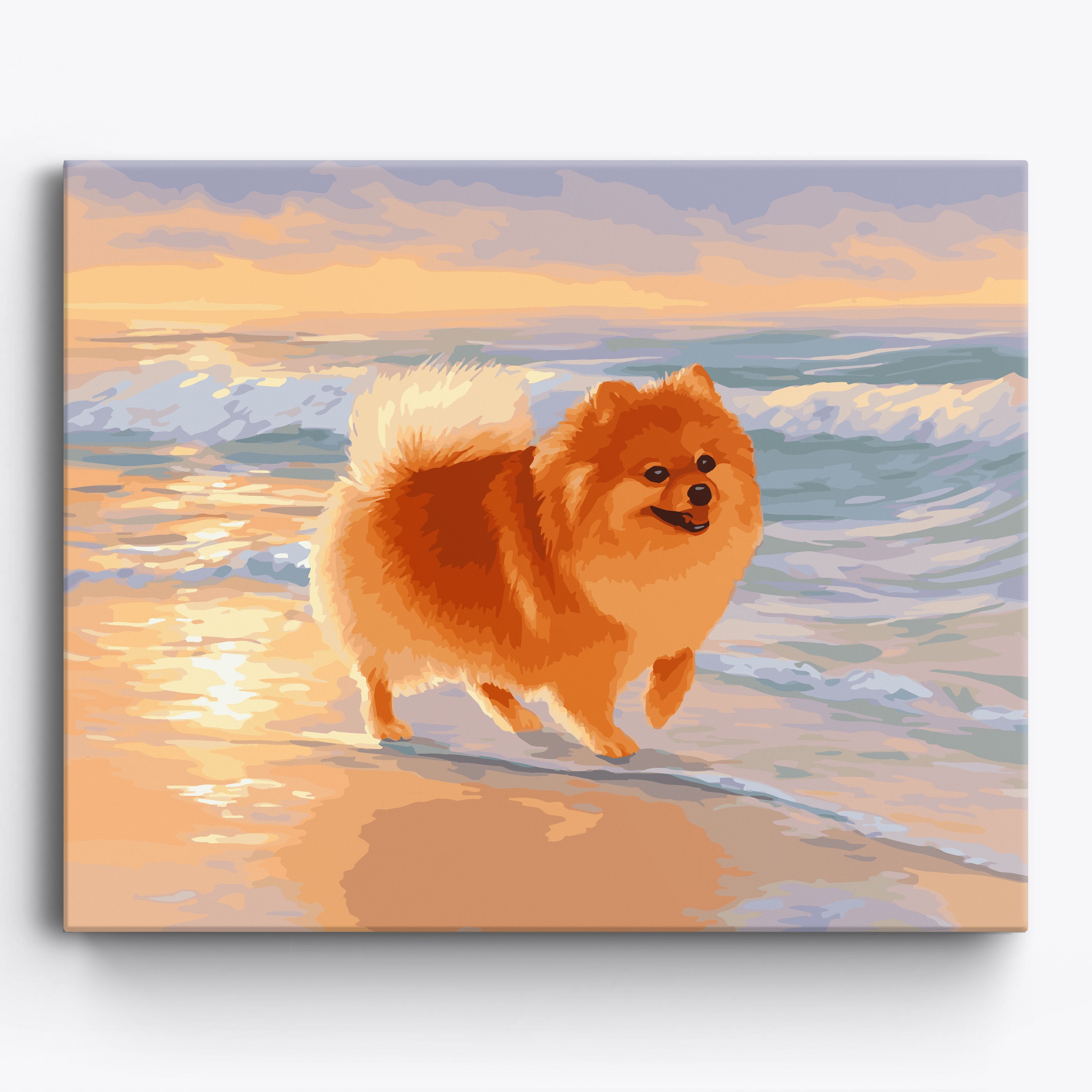 Pomeranian Beach No Frame / 50x40cm