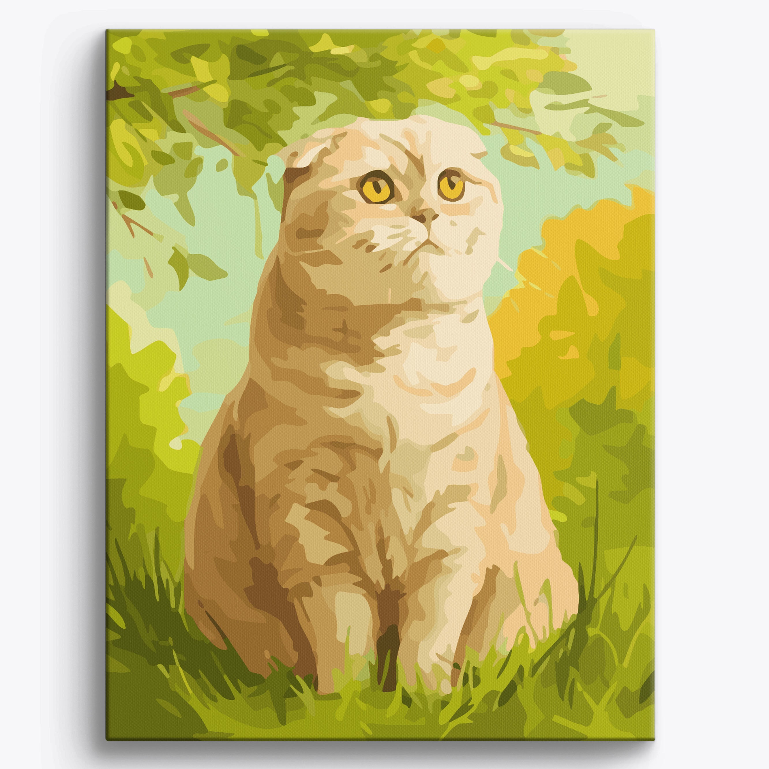 Scottish Fold Garden Framed / 40x50cm