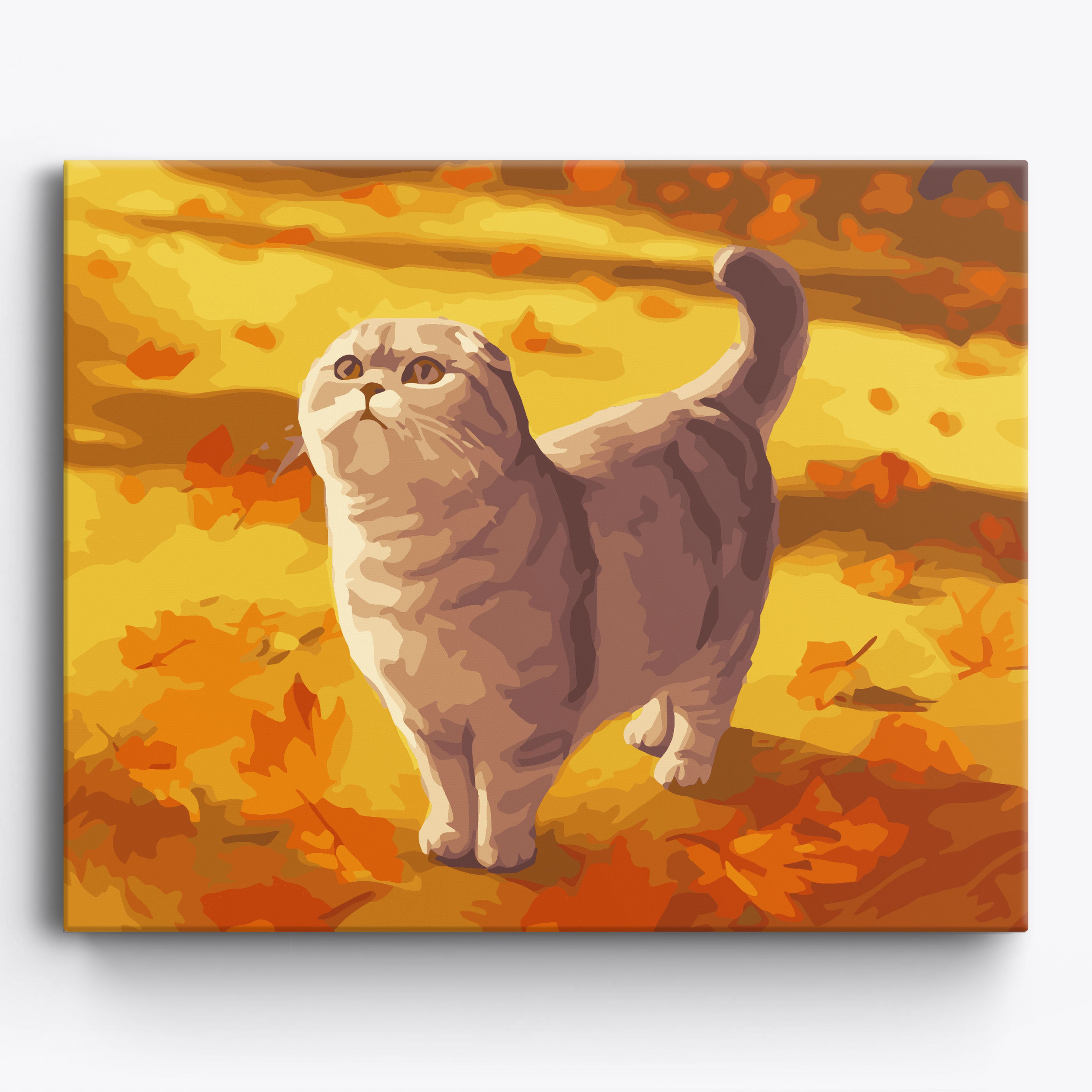 Autumn Scottish Fold No Frame / 50x40cm