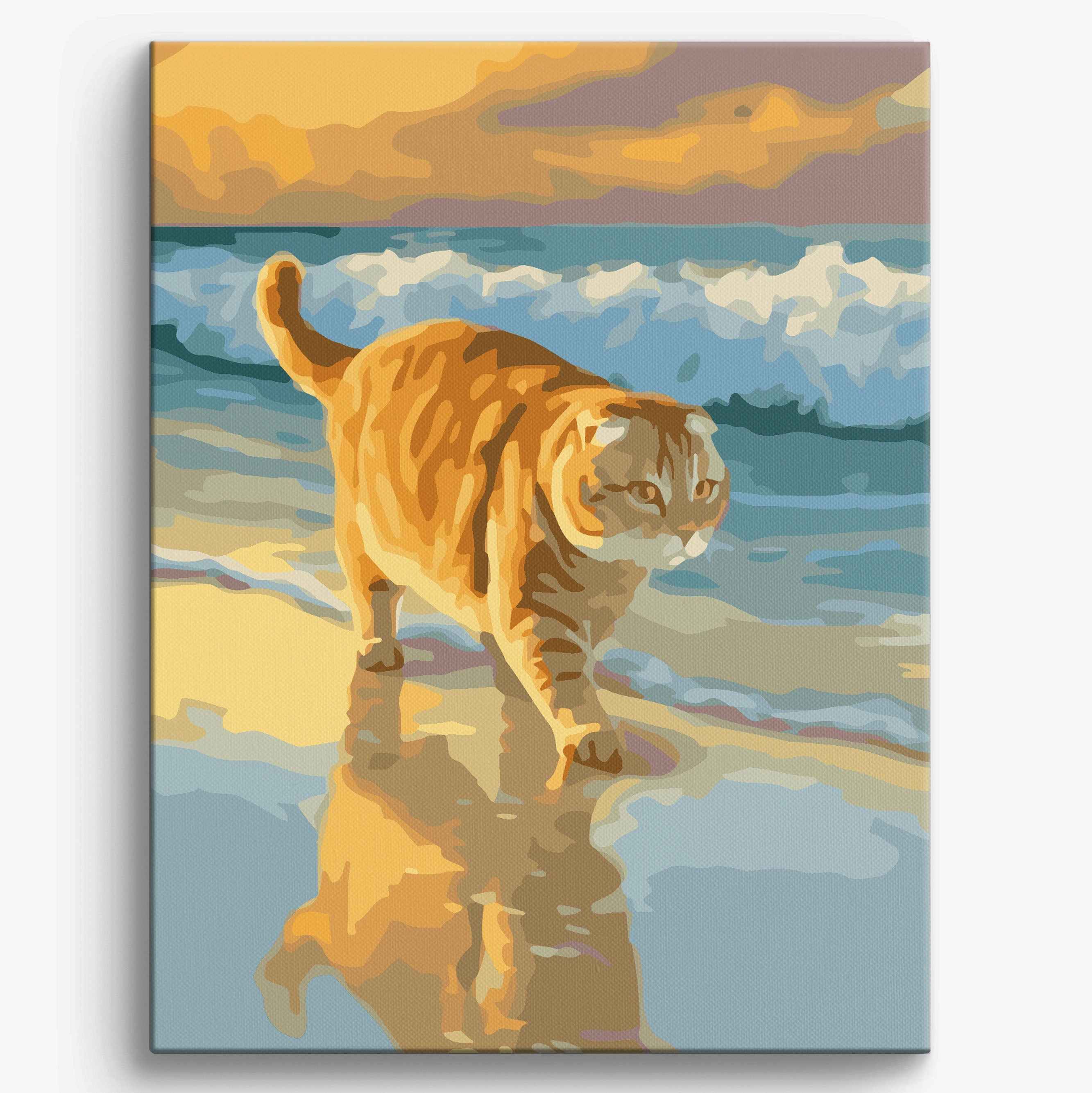 Scottish Fold Beach Framed / 40x50cm