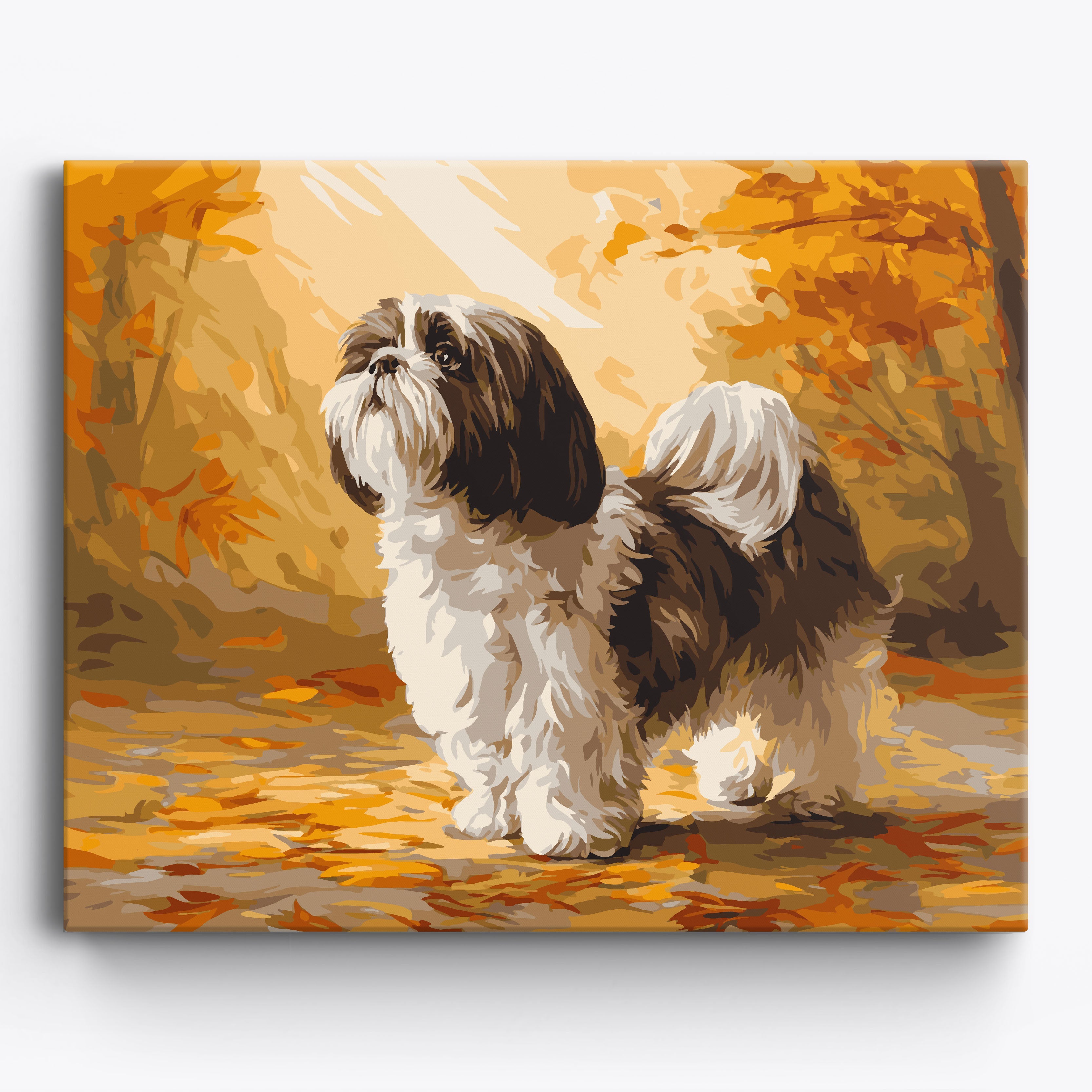 Autumn Shih Tzu No Frame / 50x40cm