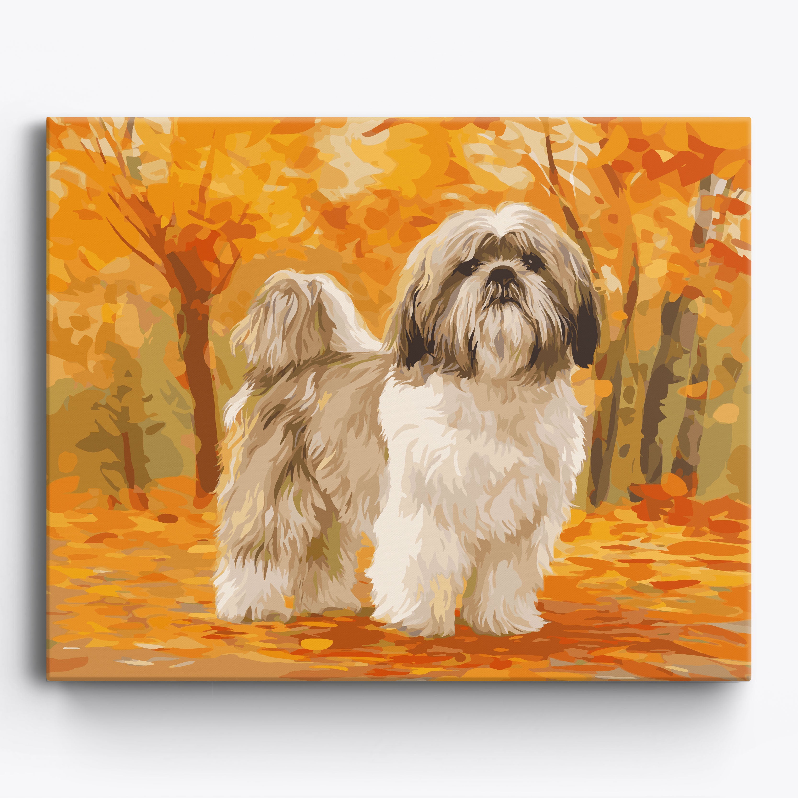 Shih Tzu Stroll Framed / 50x40cm