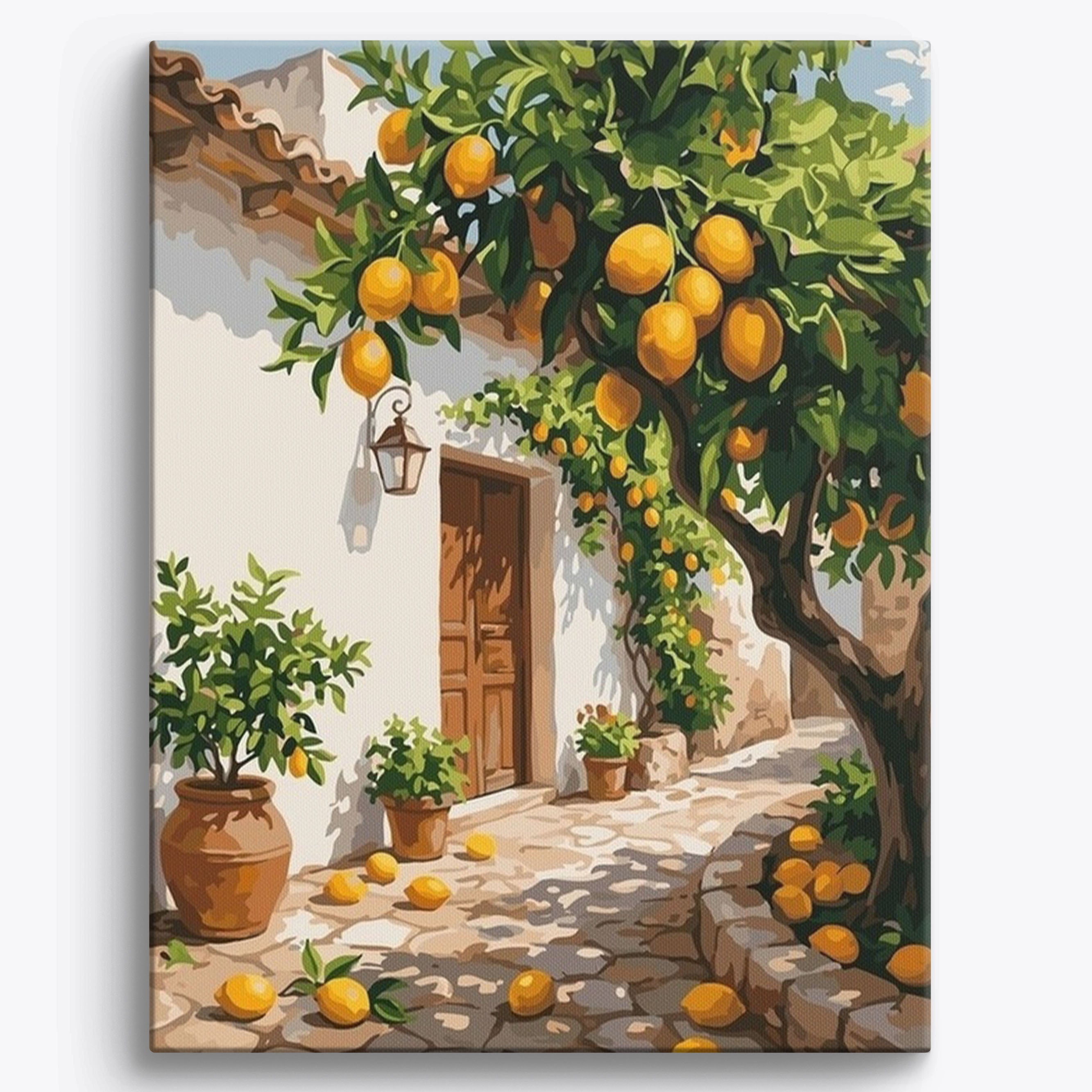 Lemon Tree Courtyard