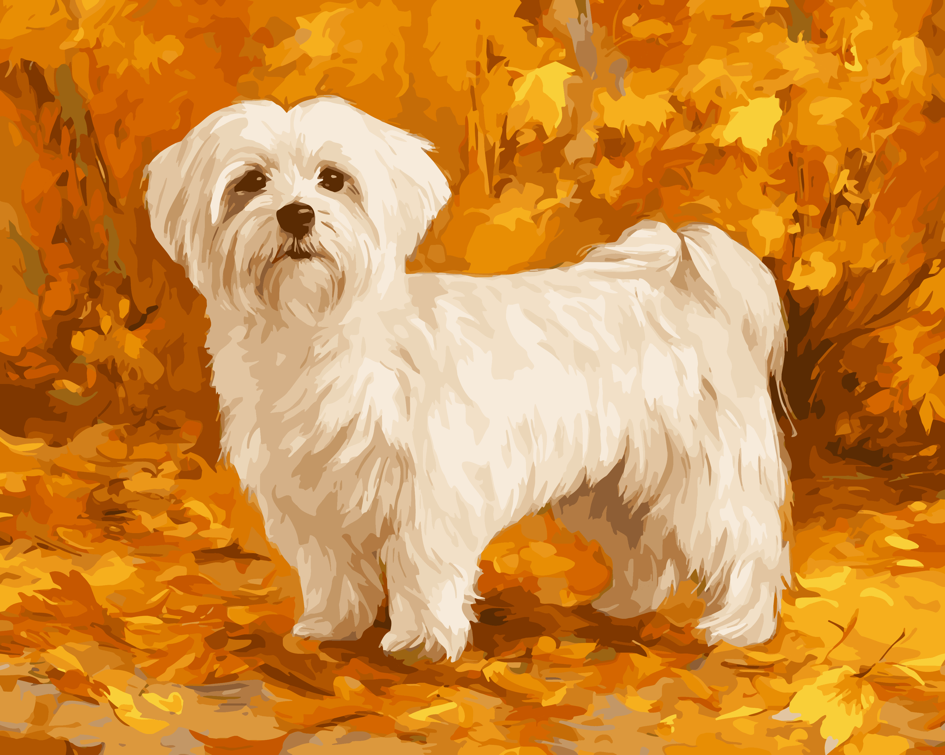 Fall Maltese
