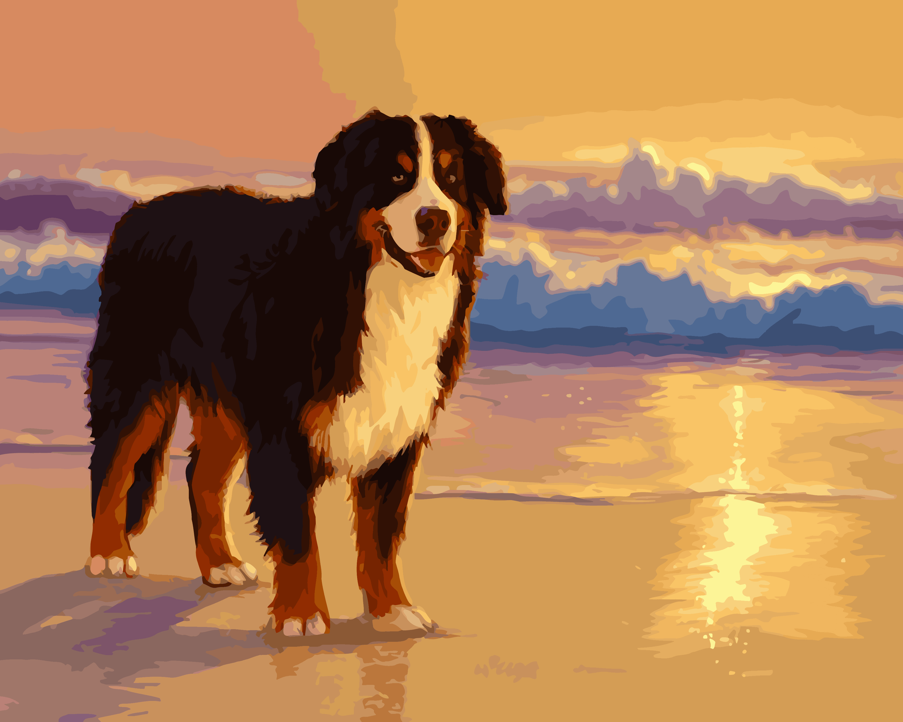 Bernese Beach