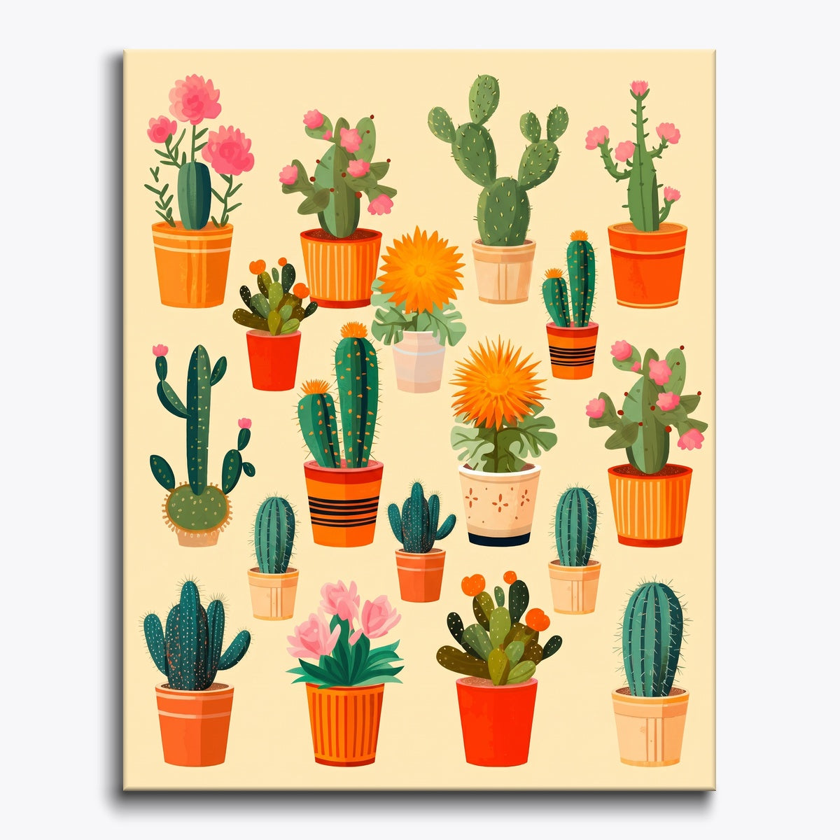 Cactus Collection