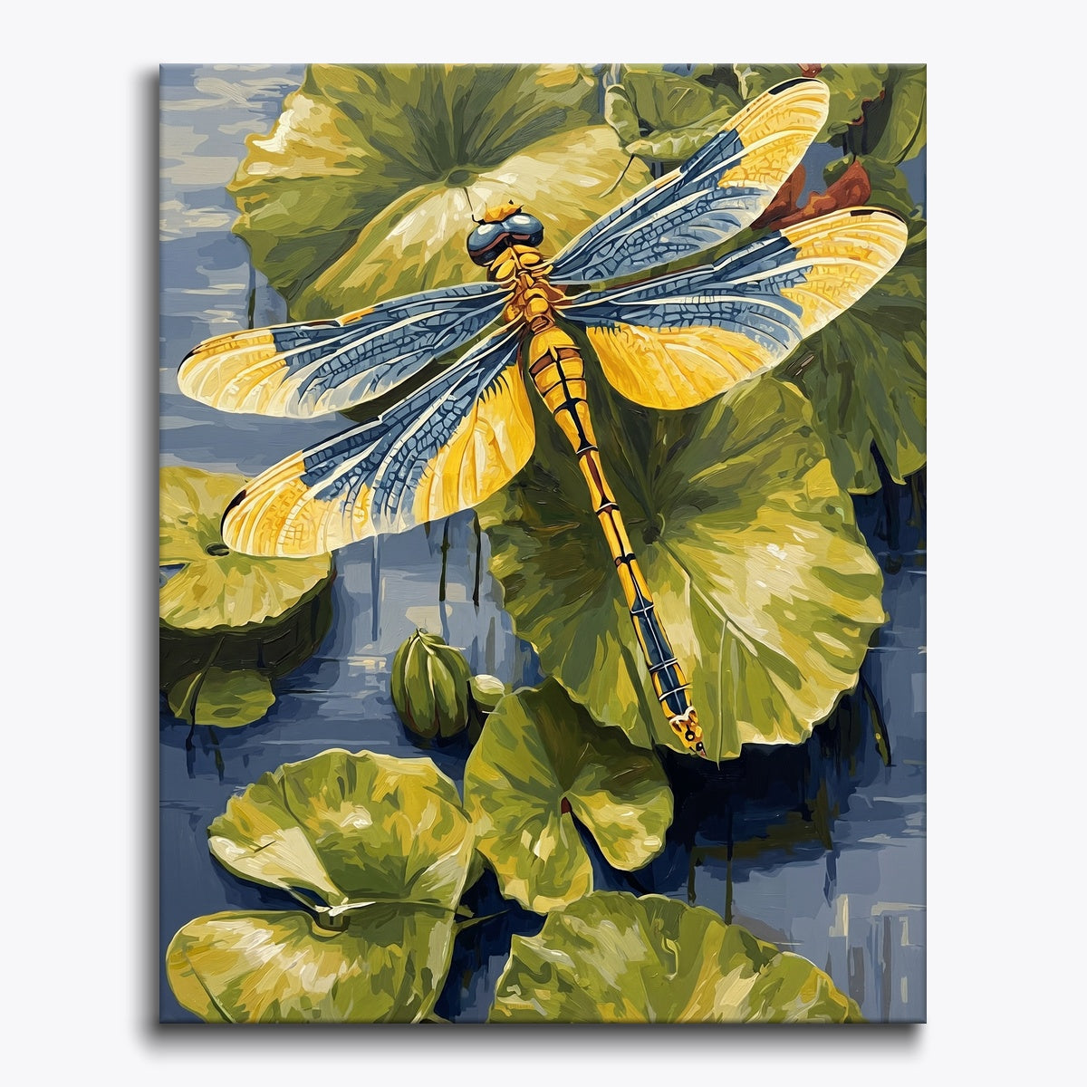 Colorful Dragonfly