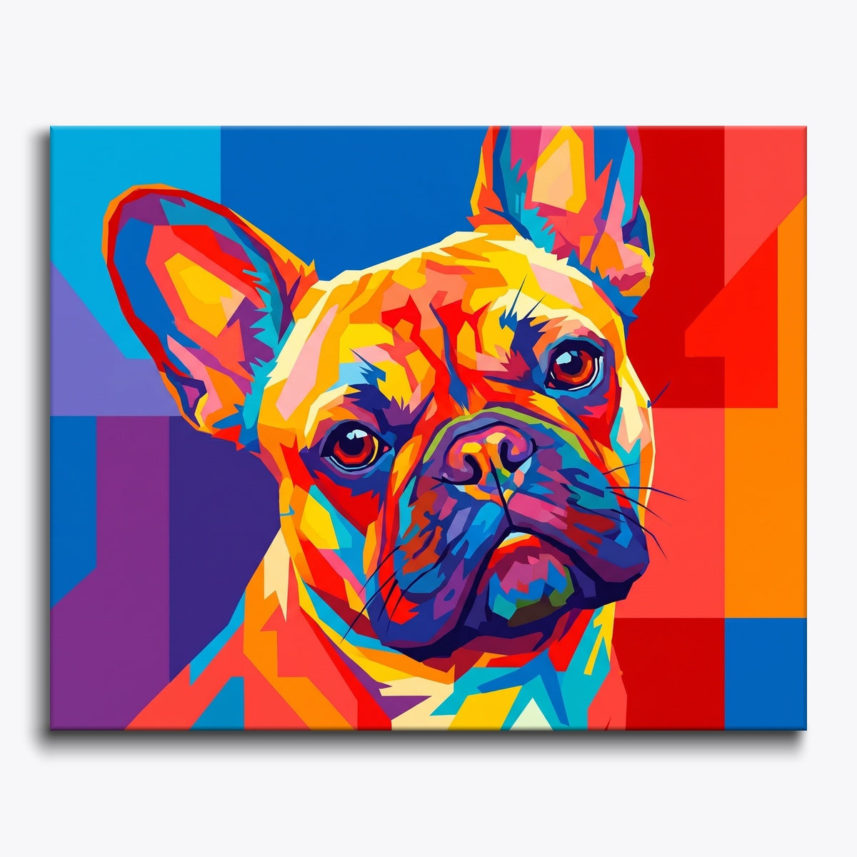 Colorful French Bulldog
