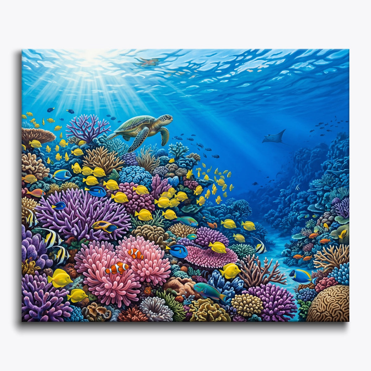 Tropical Harmony
