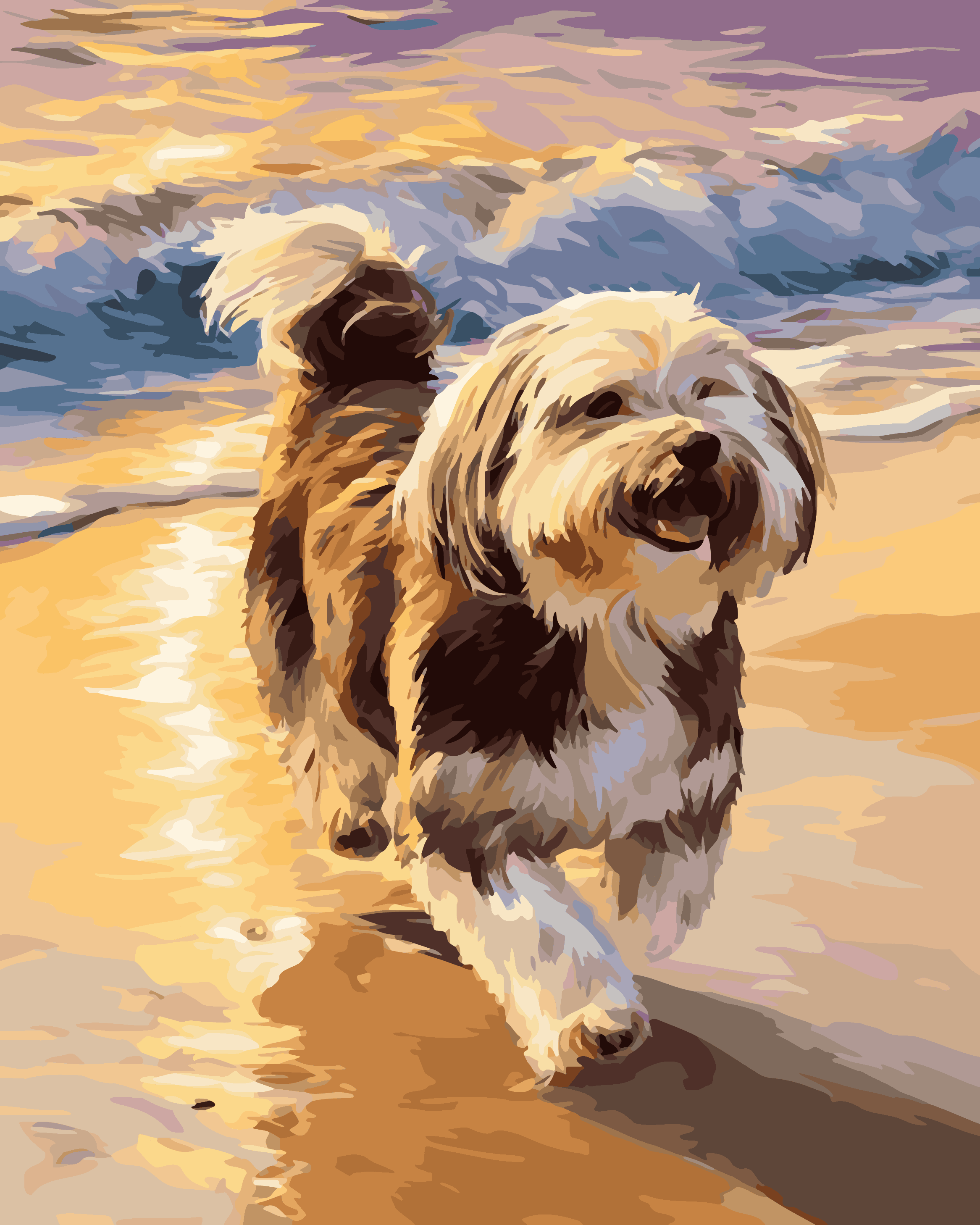 Havanese Beach