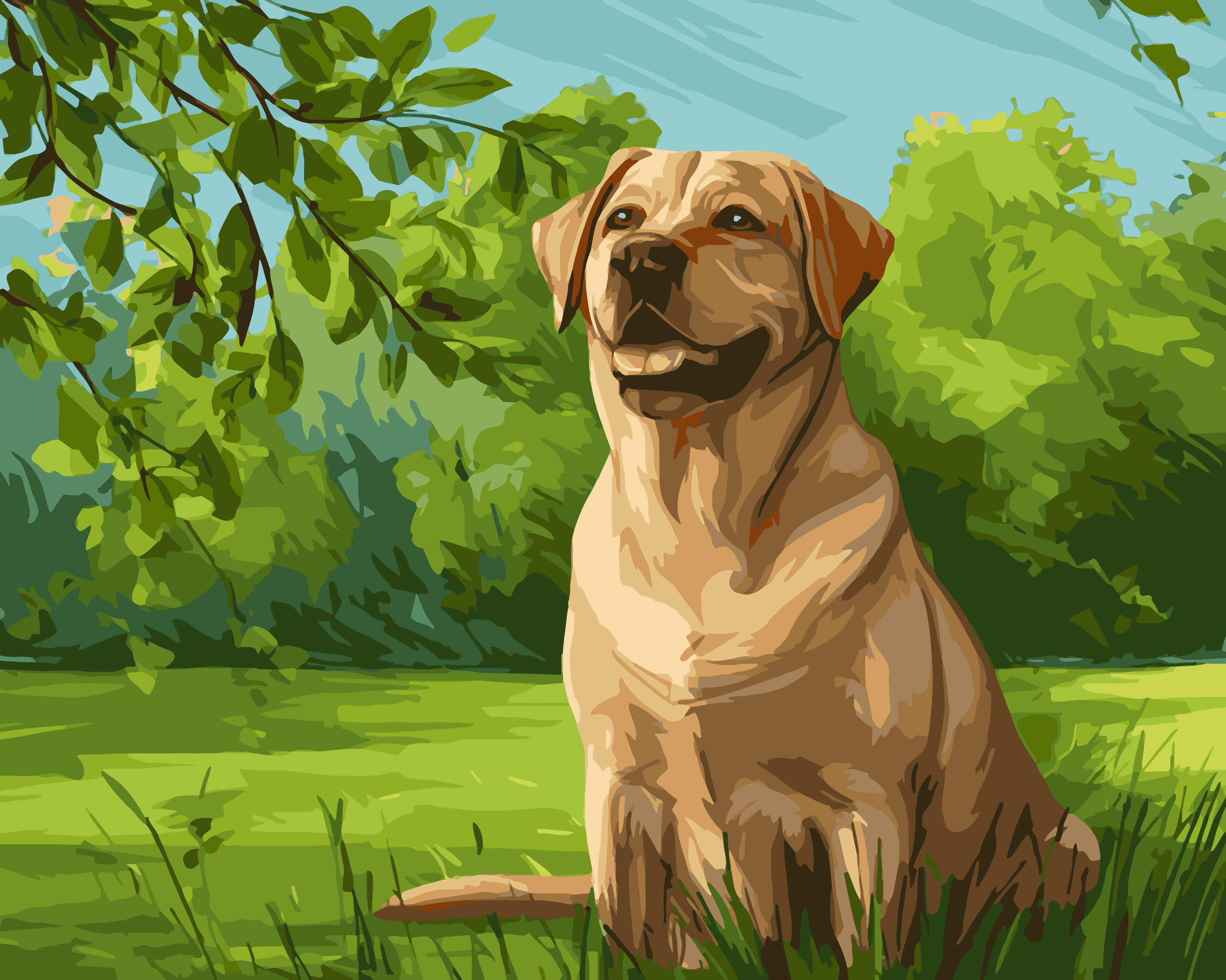 Labrador Retriever Meadow