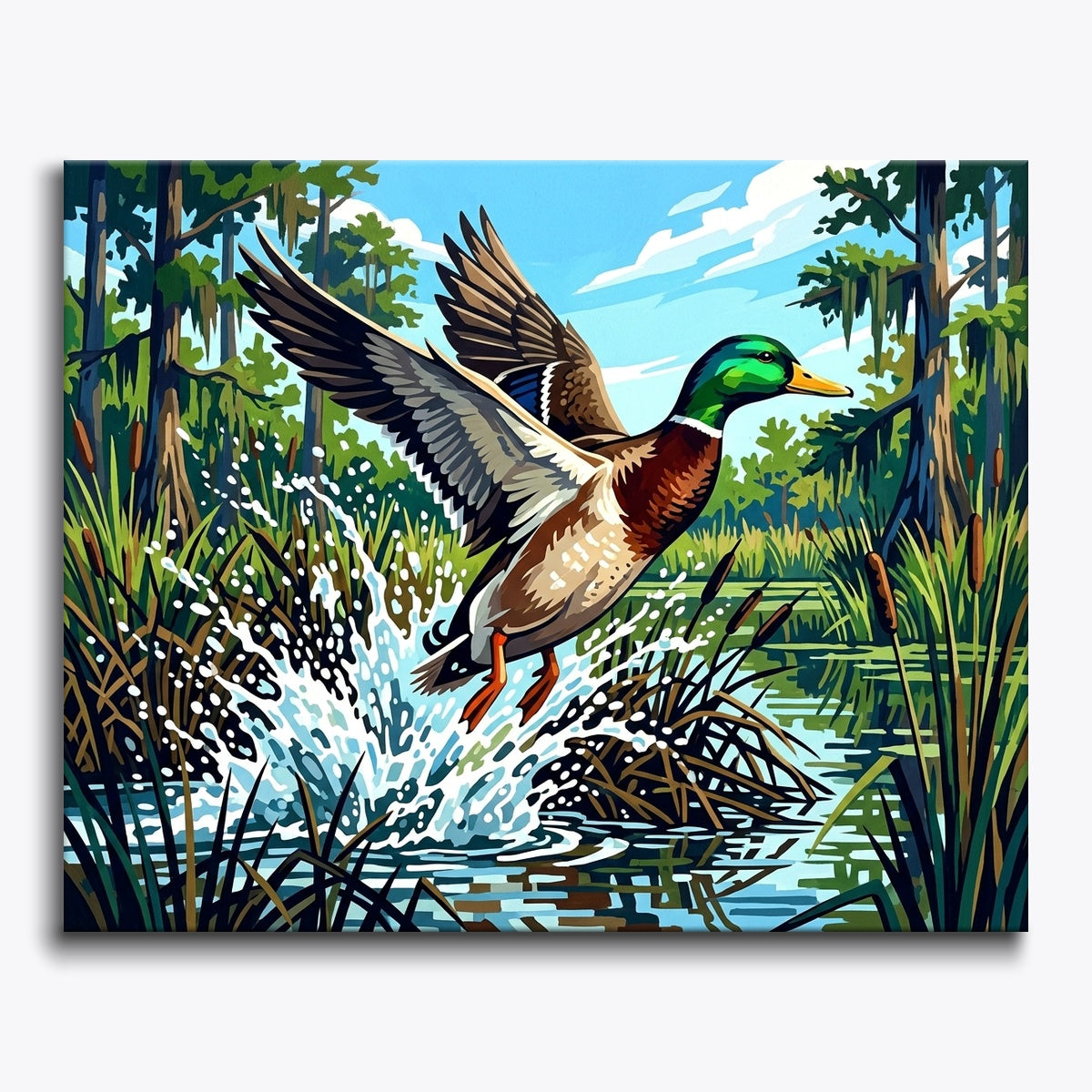 Mallard Duck