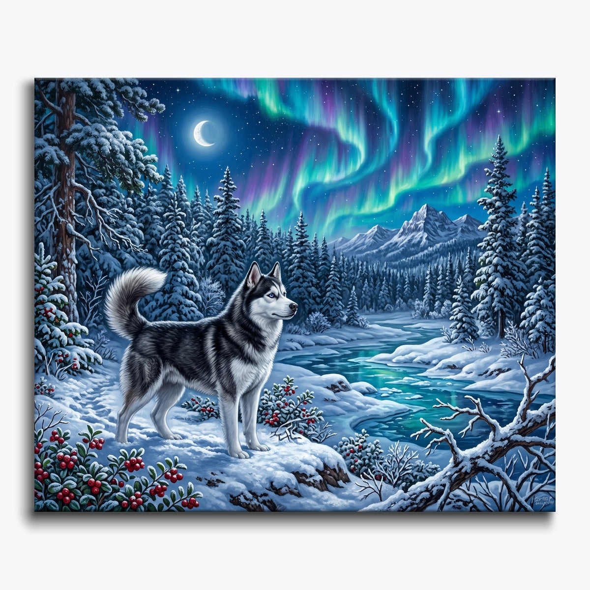 Aurora Companion