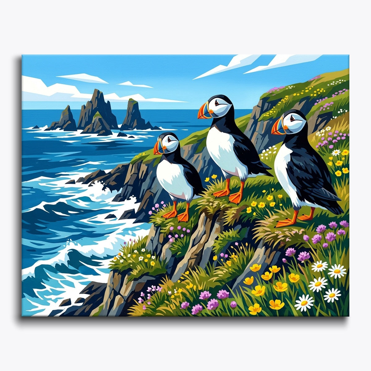 Puffins by Coast