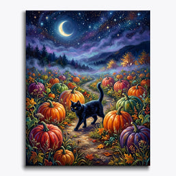 Black Cat In Pumpkin Field