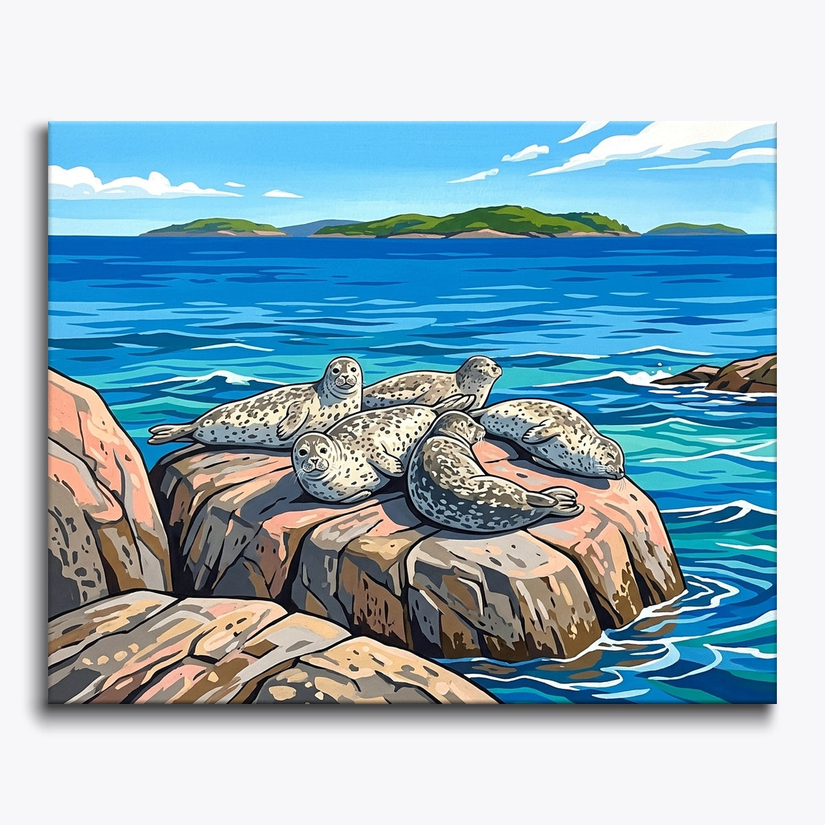 Seals on Rocks