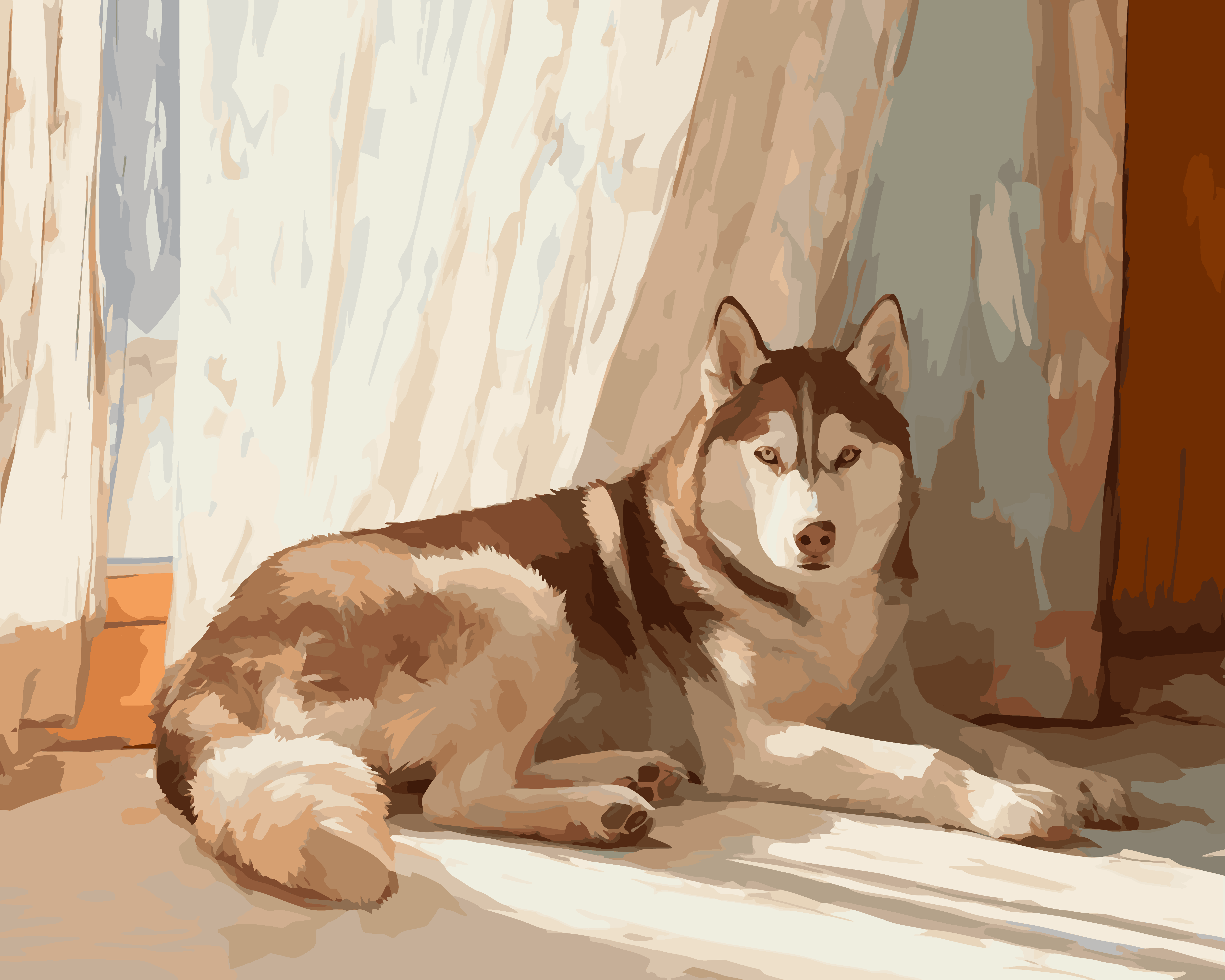 Siberian Husky Snooze