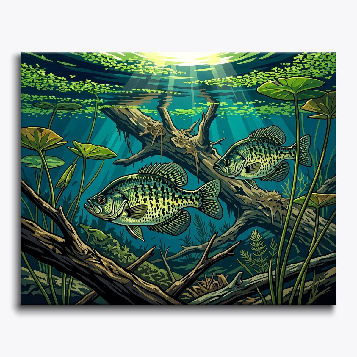Underwater Scene C2A9