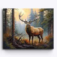 Elk