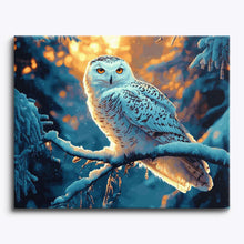 Owls