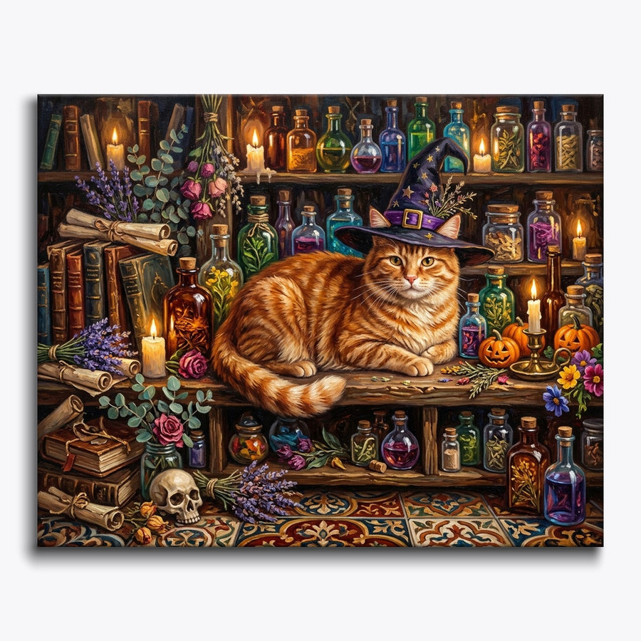 Witch Hat Tabby