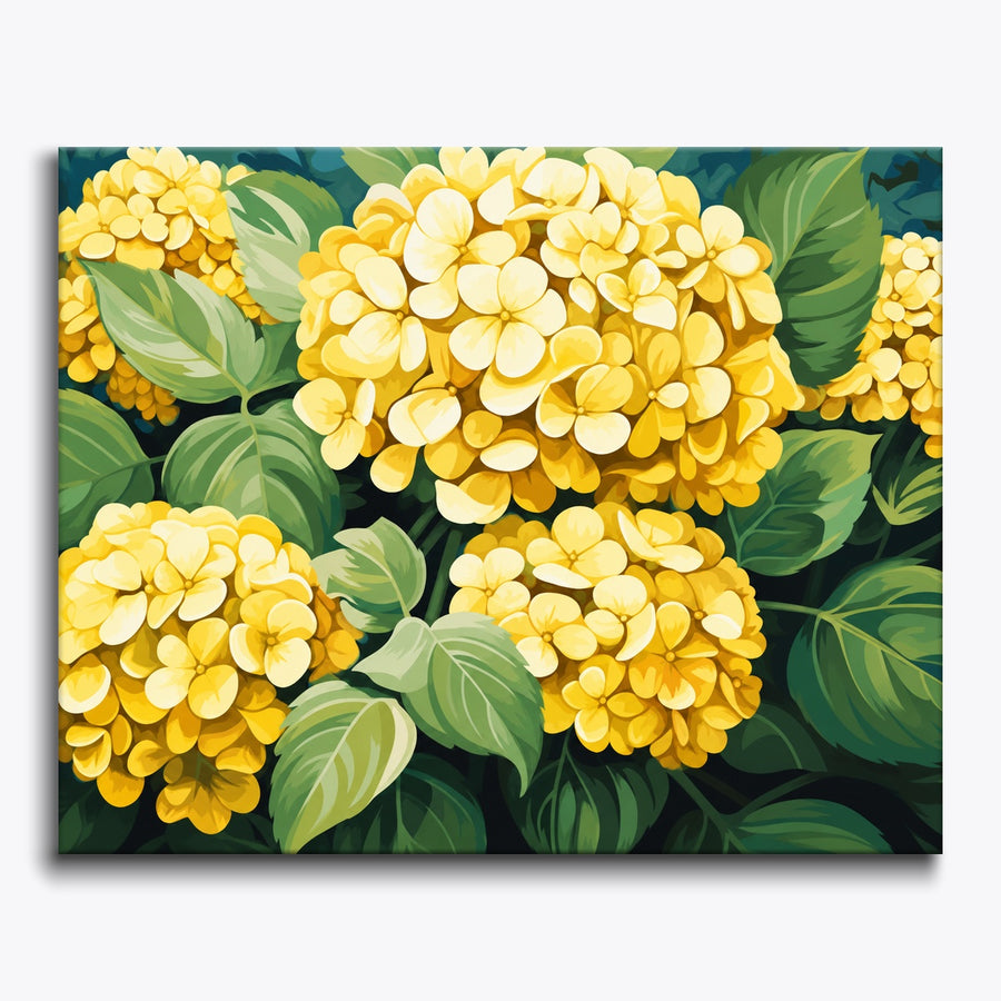 Yellow Hydrangeas
