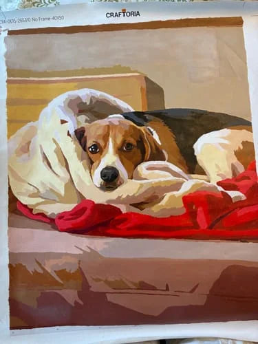 Customer's finished custom paint-by-numbers portrait of a beagle resting on blankets